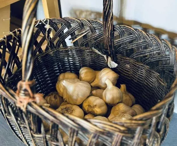 La Maison Des Herissons Dom wakacyjny